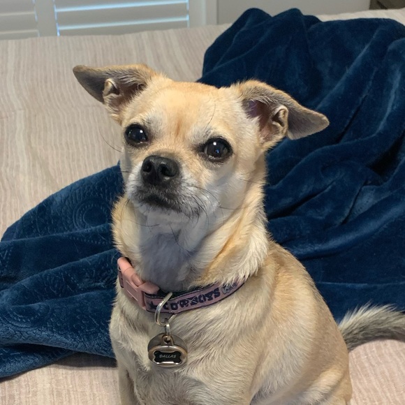 Meet your Posher, Christine - Picture 1 of 1